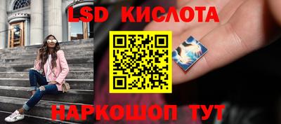 винт Новодвинск
