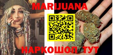 трава Новозыбков