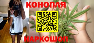 трава Новозыбков