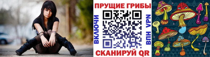 Галлюциногенные грибы MAGIC MUSHROOMS Сорочинск