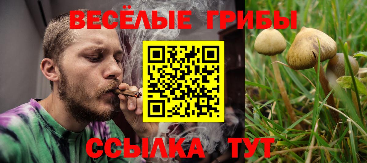 Галлюциногенные грибы мухоморы  Галлюциногенные грибы GOLDEN TEACHER  Сорочинск  Вход с VPN 