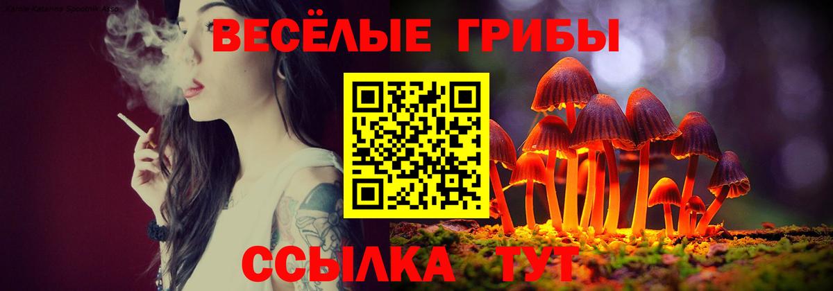 Марихуана  Сорочинск  Меф МЯУ МЯУ  Вход с VPN  Продажа наркотиков  КОКАИН  Меф кристаллы  Гашиш  Кокаин 